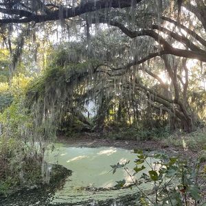 Meet your Posher, Jess